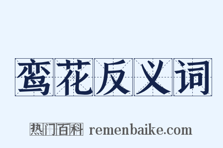 鸾花反义词是什么意思的图片